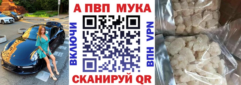 A-PVP СК  Няндома 