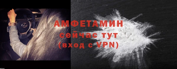 мяу мяу мука Иннополис